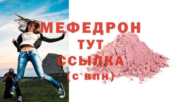 индика Медвежьегорск