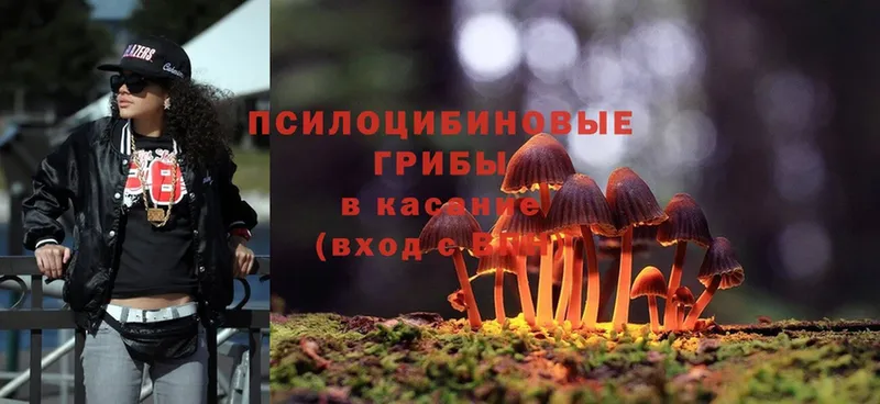 мега как зайти  Вихоревка  Галлюциногенные грибы MAGIC MUSHROOMS 